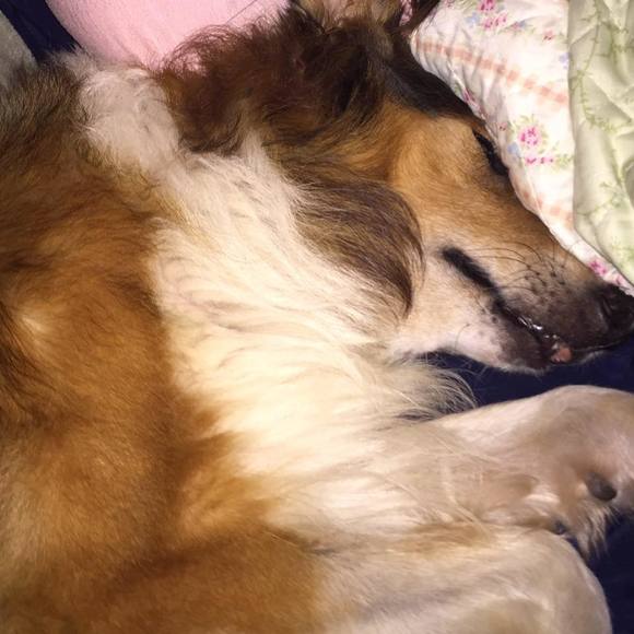 Meet your Posher, Adriana - Picture 1 of 1